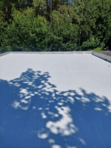 Peinture sur toit à Nantes