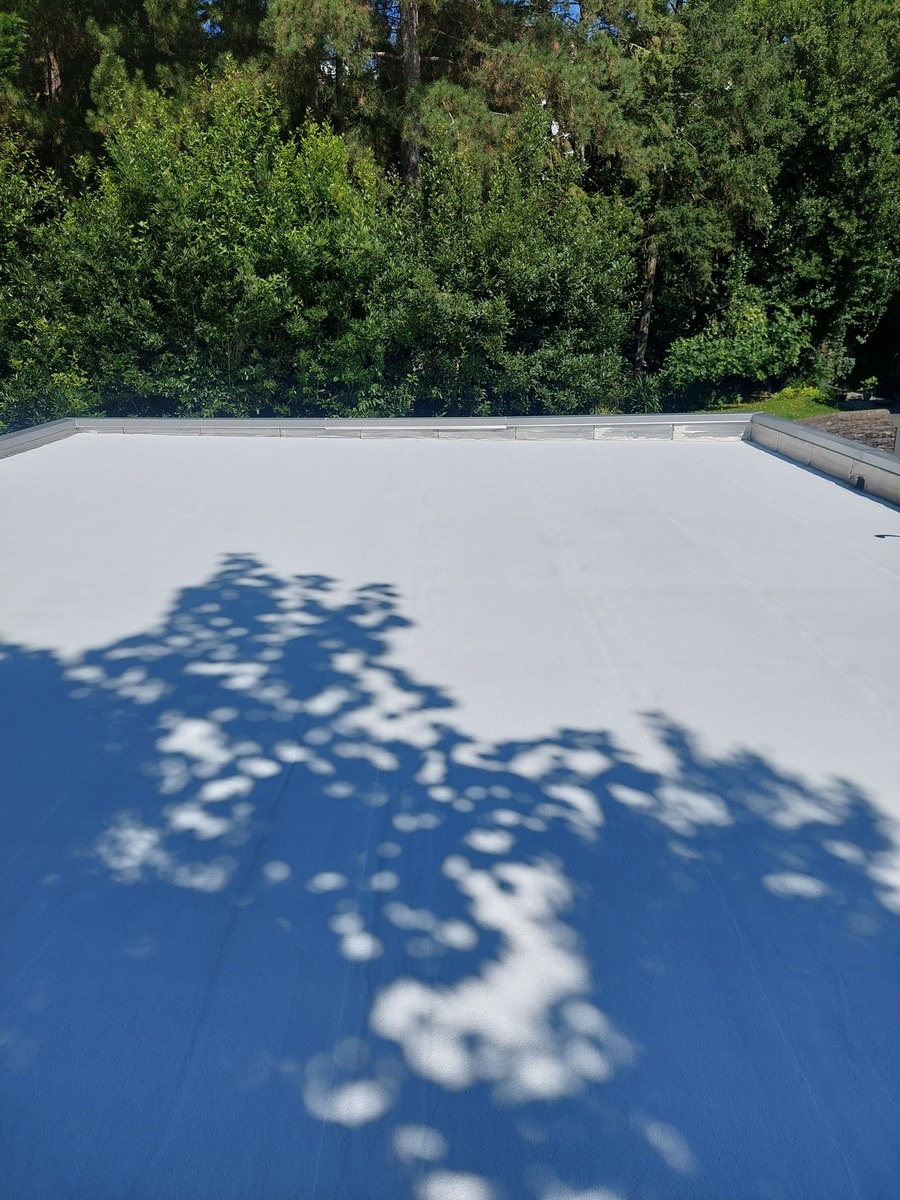 Peinture sur toit à Nantes