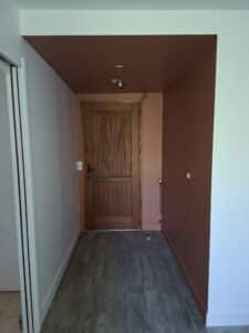 Entrée avec mur et plafond terracotta, porte en bois massif rustique et sol effet bois gris dans un couloir moderne.